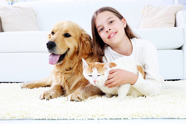 jolie fille allongée sur le tapis blanc avec les animaux de compagnie. - dog family indoors child photos et images de collection