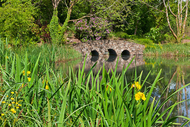 istock Water Garden and Stone Arch Bridge 182800994