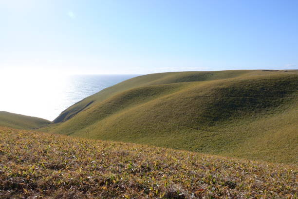 istock Cape Shirepa, Hokkaido and the Pacific Ocean. 1828014746