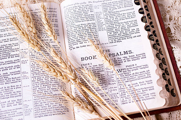 istock Wheat and worn open Bible, Bread of Life. 182801479