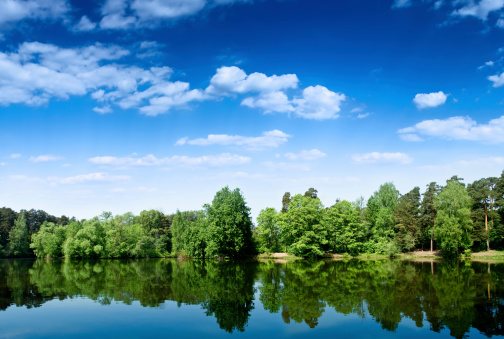 Beautiful forest lake in the morning. High resolution image.Similar images: