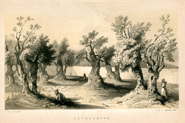 겟세마네 동산 - garden of gethsemane stock illustrations