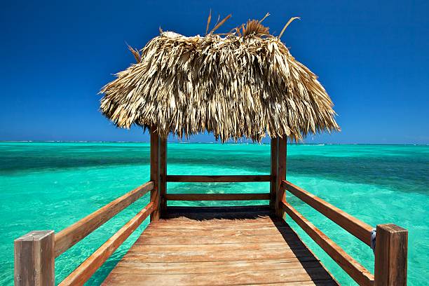 istock Palapa on turquoise water 182802167