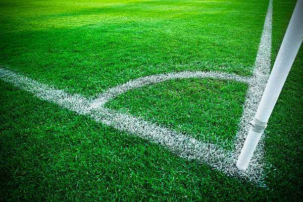 istock Grass turf on a sports field 182803130
