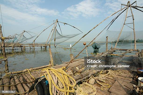 Cochin Redes De Pesca Chinês - Fotografias de stock e mais imagens de Backwaters de Kerala - Backwaters de Kerala, Cochim - Índia, Competência