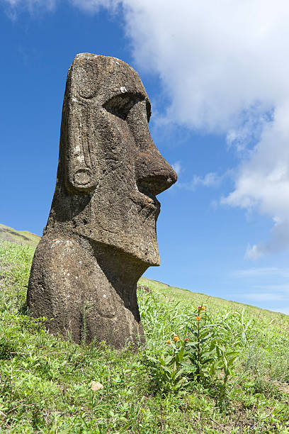 istock Blue sky over Moai at Rano Raraku Easter Island 182803733