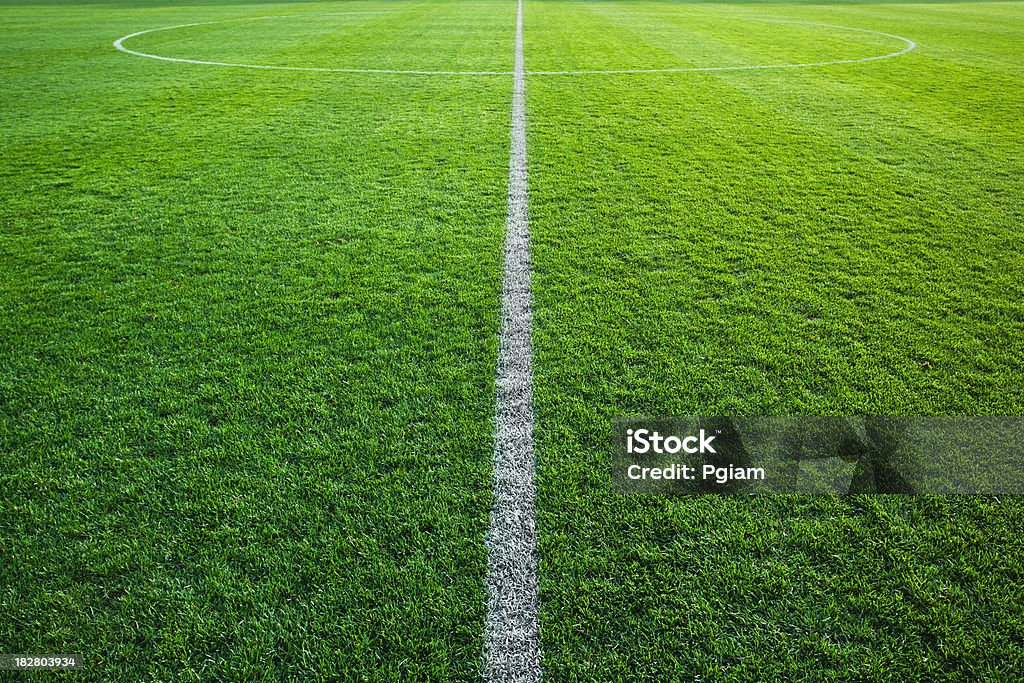 Grass turf on a sports field Stadium green playing surface for soccer and football Low Angle View Stock Photo