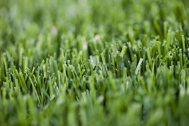 Artificial grass with pollen macro stock photo