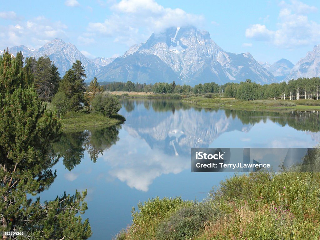 Snake River und die Tetons, Wyoming, USA - Lizenzfrei Baum Stock-Foto