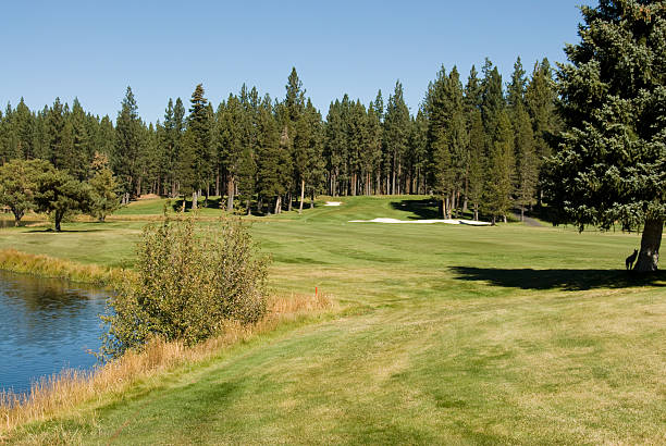 istock Reynolds Plantation Golf Course, Georgia 182804616