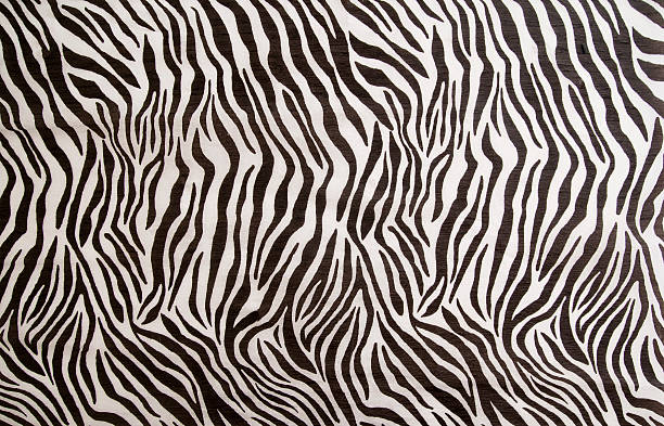 zebra pattern zebta pattern animal pattern stock pictures, royalty-free photos & images