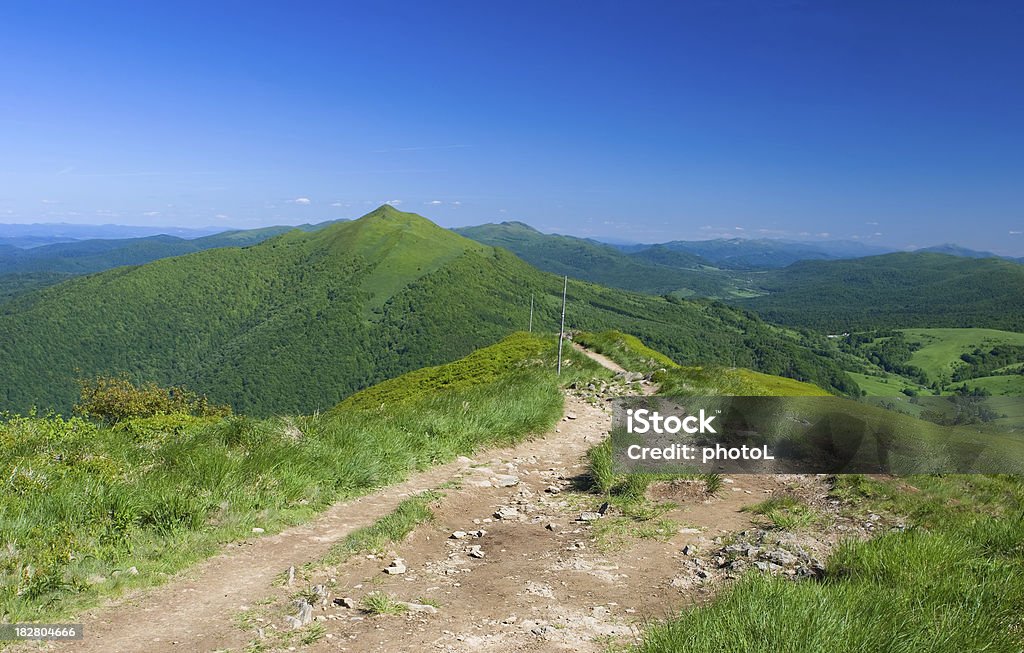 Montanhas Green - Foto de stock de Parque Nacional de Bieszczady royalty-free