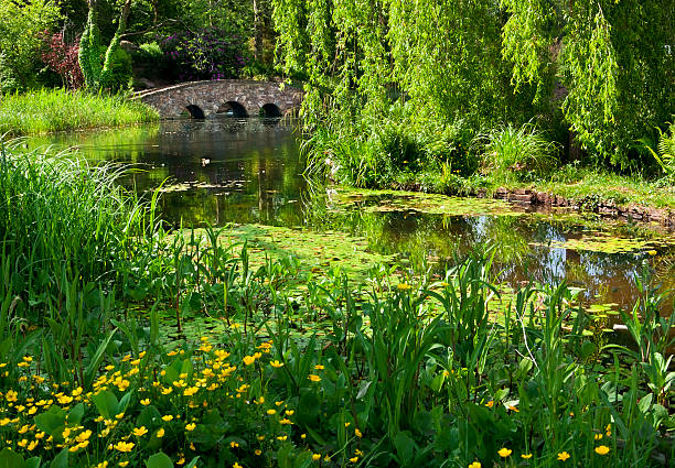 istock Water Garden and Stone Arch Bridge 182804686