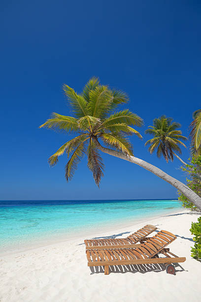 istock place to relax on tropical island 182804821