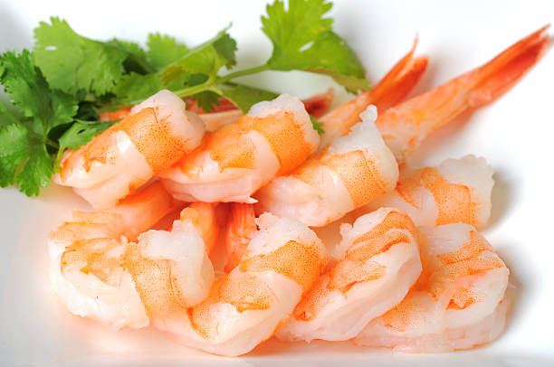 istock Shrimp and parsley on white plate 182804882