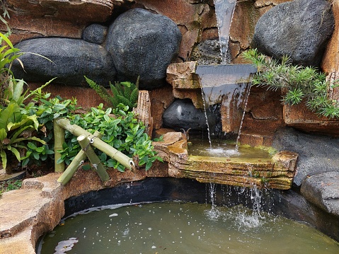 beautiful fish pond in the garden, with waterfall, plant, and stone, natural images