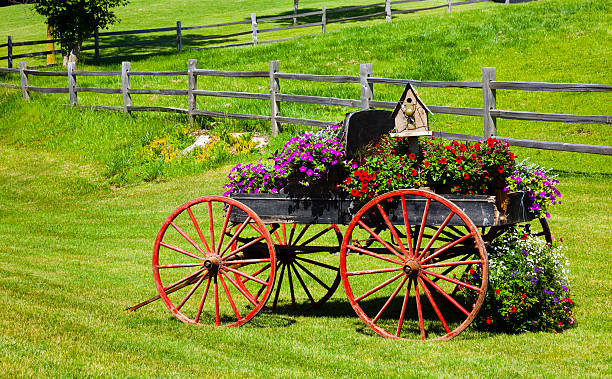 Antique wooden cart with big wheels carrying wooden barrels in fall foliage