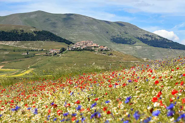 "Castelluccio and meadow, Umbria ItalyParco Nazionale dei Monti Sibillini-MORE photos from Umbria:"