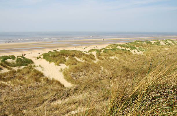 istock Sand Dunes and Ocean with Beach at the North Sea 182805363