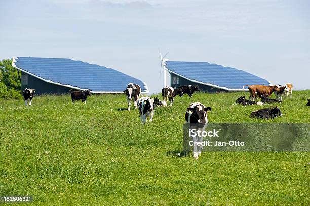 Solarzellen Auf Scheune Stockfoto und mehr Bilder von Sonnenkollektor - Sonnenkollektor, Hausrind, Kuh