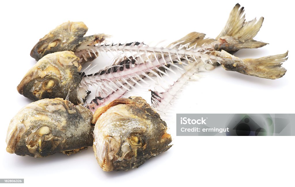 Fisch-Skelette Haufen isoliert auf weiss - Lizenzfrei Freisteller – Neutraler Hintergrund Stock-Foto