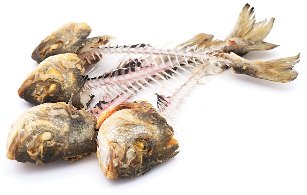 istock Fish skeletons pile isolated on white 182806326