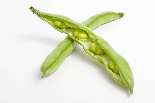 feijão de vagem - green bean bean pod nobody imagens e fotografias de stock