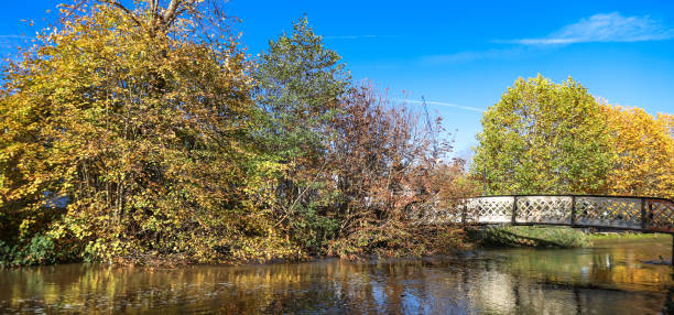 Lovely autumn sunny day in Guildford River Wey footbridge Surrey England Europe