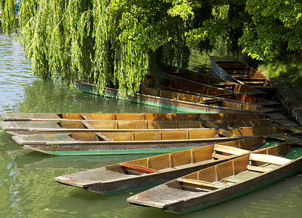 istock Punts moored on the River Cam  in Cambridge 182807356