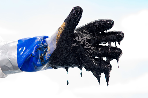 Oiled covered gloved hand during Oil spill clean up