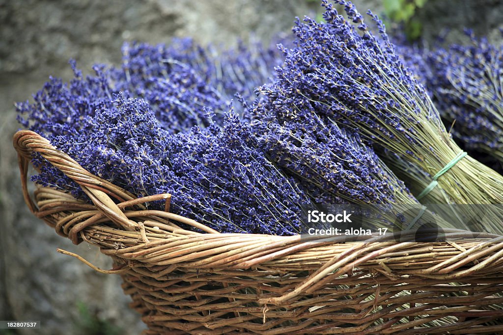 Ramos de lavanda en una canastilla - Foto de stock de Color lavanda libre de derechos