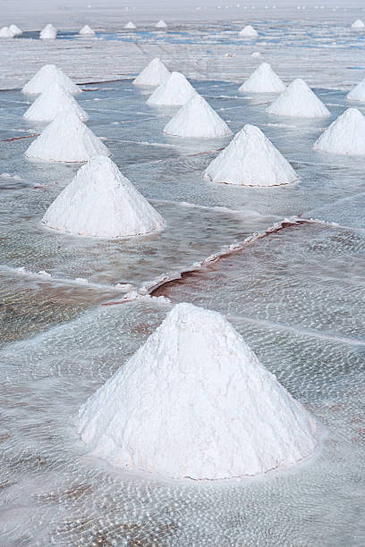 istock Salar de Uyuni, Altiplano Bolivia 182807725