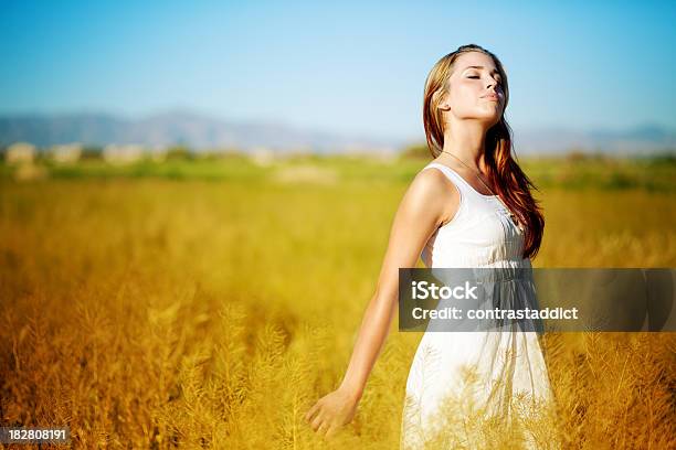 Menina Em Um Vestido Branco Caminhar Através Do Campo De Trigo - Fotografias de stock e mais imagens de Adulto