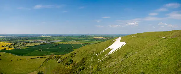 Photo of White horse hill figure, Westbury, Wiltshire, UK