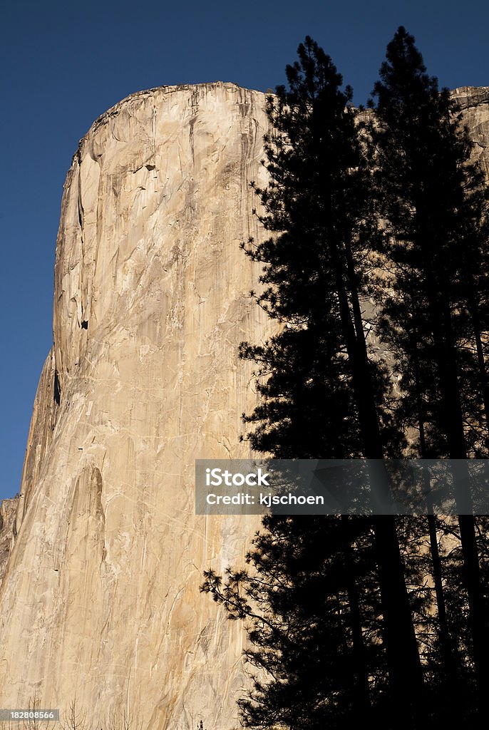 El Capitan mit Umrisse von Bäumen - Lizenzfrei Alpenglühen Stock-Foto