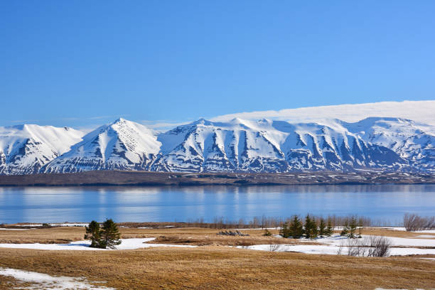 góry pokryte śniegiem w eyjafjörður, fiord w pobliżu akureyri, islandia - nordic countries europe island fjord zdjęcia i obrazy z banku zdjęć