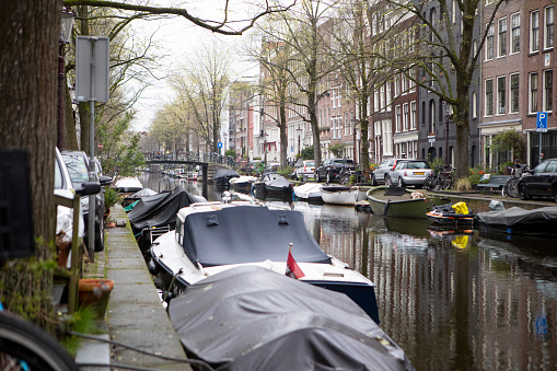 Treelined street alongside a quiet canal in Amsterdam