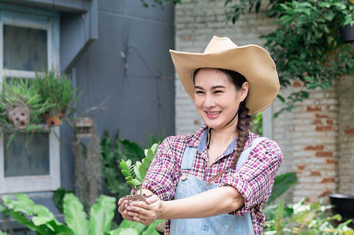 Young gardening shop owner woman or worker show a nursery plant plotted, Asian attractive farming female smiling to camera happy start-up her small business entrepreneur gardener at home country