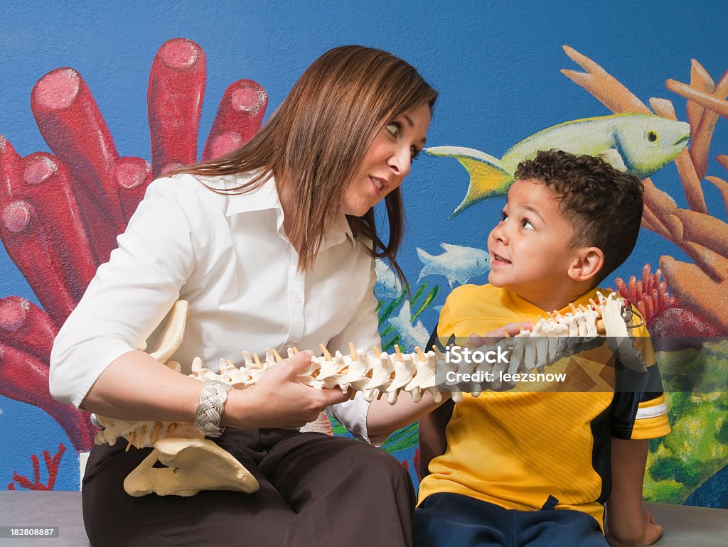 Мануальный терапевт и ребенок с позвоночника модели - Стоковые фото Хиропрактика - мануальная терапия роялти-фри
