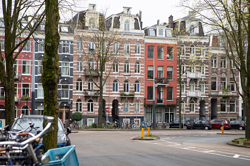 Treelined street in Amsterdam