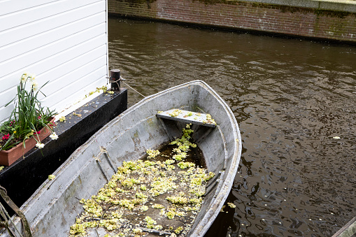 Rowing boat next to a house boat on an Amsterdam canal in springtime