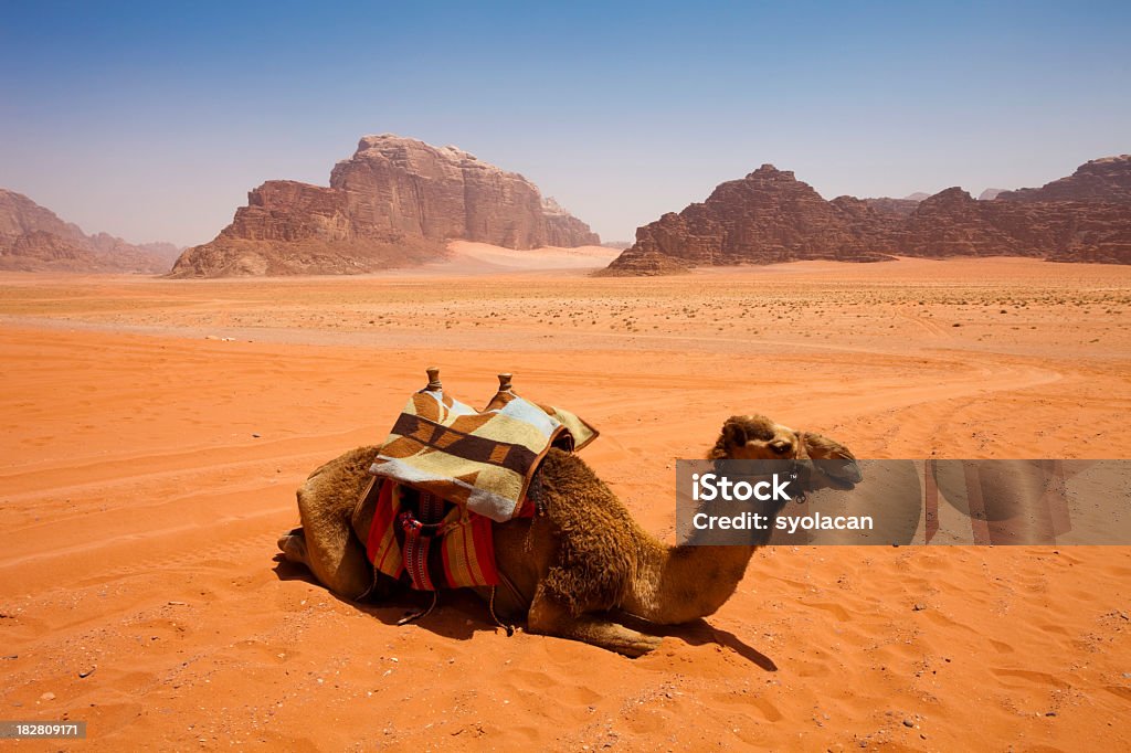 Deserto del Wadi Rum, Giordania - Foto stock royalty-free di Aqaba