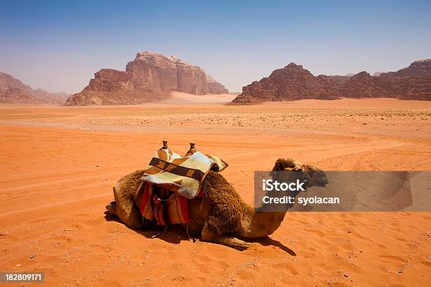 Deserto Del Wadi Rum Giordania - Fotografie stock e altre immagini di Aqaba - Aqaba, Giordania - Medio Oriente, Wadi Rum