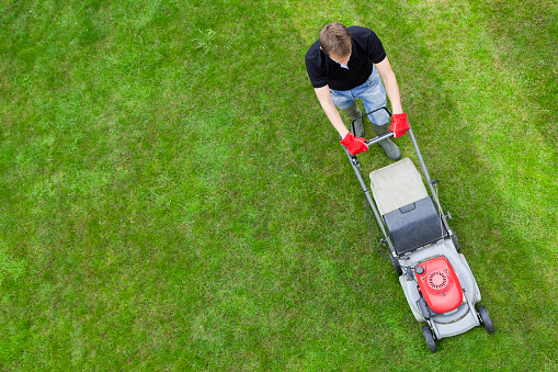 An overhead view of a man mowing a green lawn.  The man is wearing a black T-shirt, blue jeans and gray boots.  He is wearing a pair of red gloves.  The lawn mower is red and light gray with a part that is dark gray.