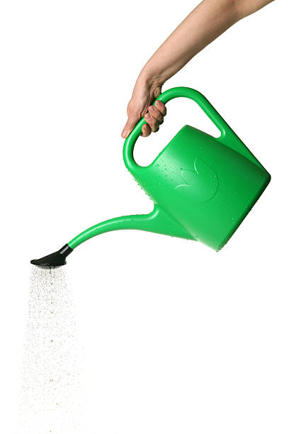 watering watering watering can photos stock pictures, royalty-free photos & images