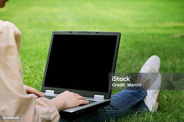 若い女性が公園の芝生のノートパソコンを使う - 1人のストックフォトや画像を多数ご用意 - 1人, インターネット, グローバルコミュニケーション