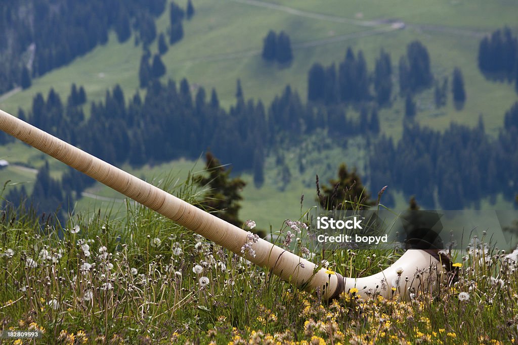 Alphorn In The Meadow A Alphorn in a mountain meadow in Switzerland is surrounded by flowers. Alpenhorn Stock Photo