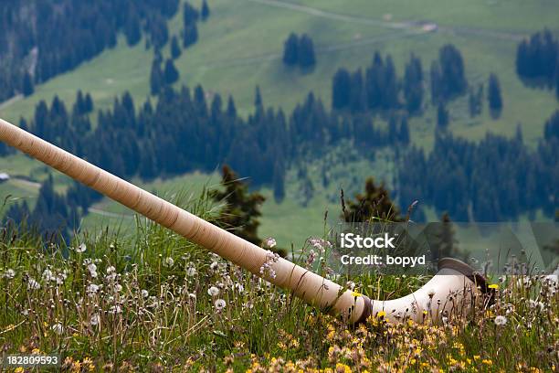 Alphorn In The Meadow Stock Photo - Download Image Now - Alpenhorn, Switzerland, Arts Culture and Entertainment