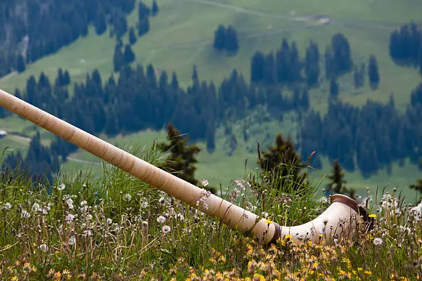 A Alphorn in a mountain meadow in Switzerland is surrounded by flowers.