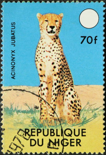 cheetah on African stamp
